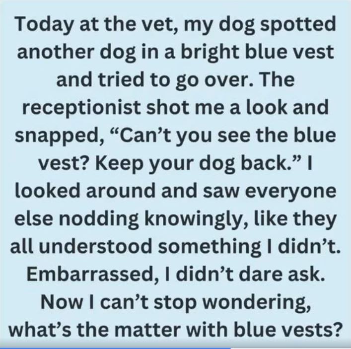 The Hidden Meaning Behind a Dog’s Blue Vest, Leash, or Bandana