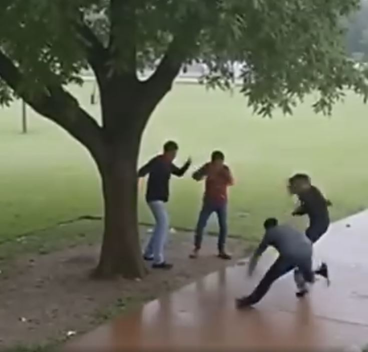 Lightning strikes four men standing under tree in a Gurgaon park, all fall to the ground