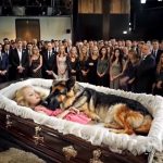 She Was Buried with Her Dog — What They Found Under Her Body Stunned Everyone