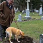 An Old Man Was Tending His Son’s Grave When His Dog Began Digging—What They Found Shook the Entire Village