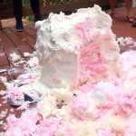 When My MIL Dropped Our Gender Reveal Cake — But Her Smile Said It All