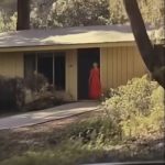 My Wife Disappeared for Hours After Dinner—One Night, I Finally Followed Her and Discovered the Truth”