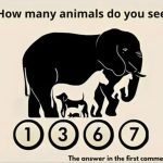 Can You Spot All the Hidden Animals in This Image