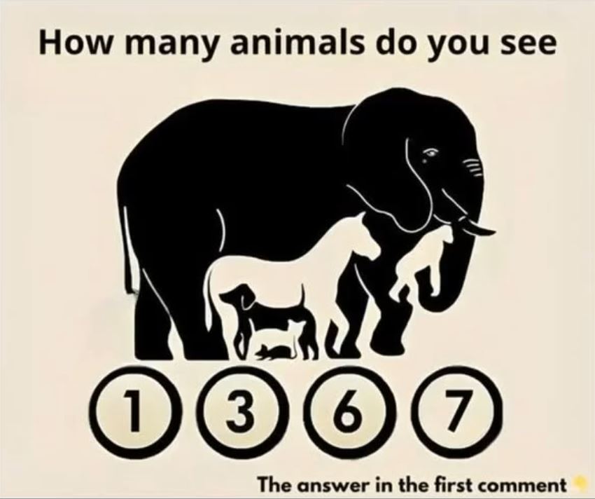 Can You Spot All the Hidden Animals in This Image