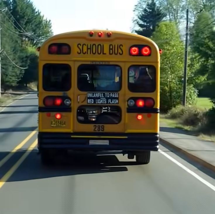 The Child Crying for Help on the School Bus Window
