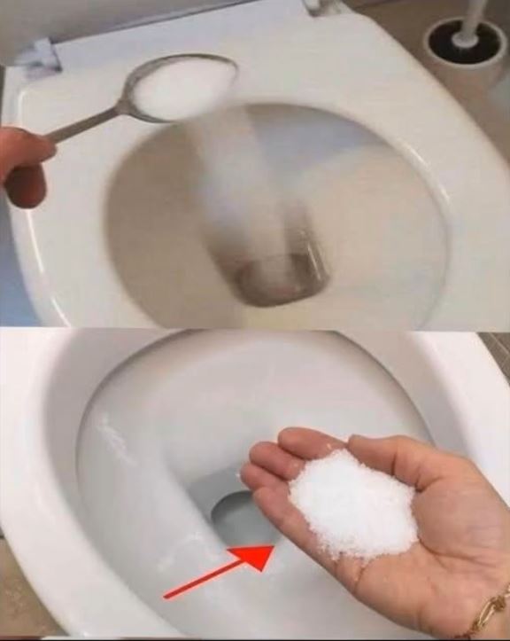 Why You Should Start Adding Salt to Your Toilet—Here’s the Secret
