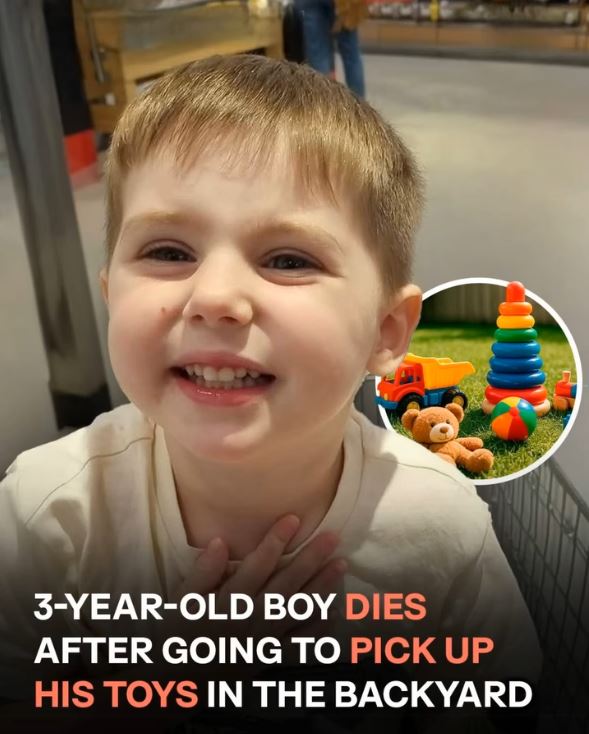 Tragic Loss: Toddler Dies After Stepping Outside to Retrieve Toys