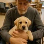 He Was Silent for Six Months—Then the Puppy Made Him Speak
