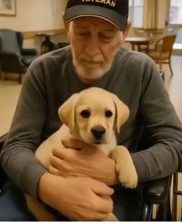 He Was Silent for Six Months—Then the Puppy Made Him Speak