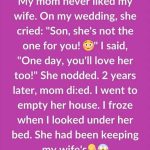 My Mother Warned Me About My Wife—Only After Her Death Did I Understand Why
