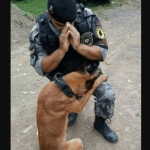 A Stranger Captured Me Praying With My Dog—Now Everyone Thinks They Know the Story