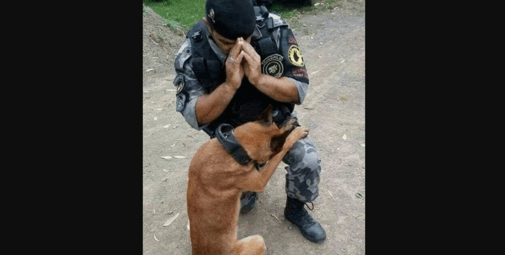 A Stranger Captured Me Praying With My Dog—Now Everyone Thinks They Know the Story