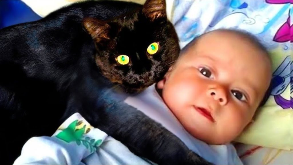 Cat Won’t Leave Baby Alone – The Parents Found Out Why