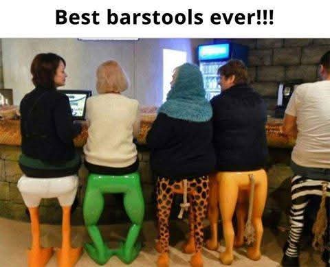 “Barstool Beasts: When Furniture Gets a Wild Sense of Humor”