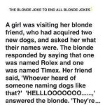 The Blonde Traffic Stop That Went in Circles
