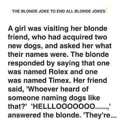The Blonde Traffic Stop That Went in Circles