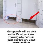 The Hidden Purpose Behind Short Bathroom Stall Doors