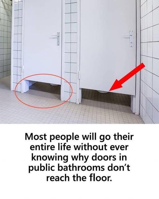 The Hidden Purpose Behind Short Bathroom Stall Doors