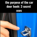 3 Smart Ways to Use the Tiny Hook Inside Your Car Door