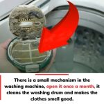 The Simple Reason You Should Clean Your Washing Machine Filter Monthly