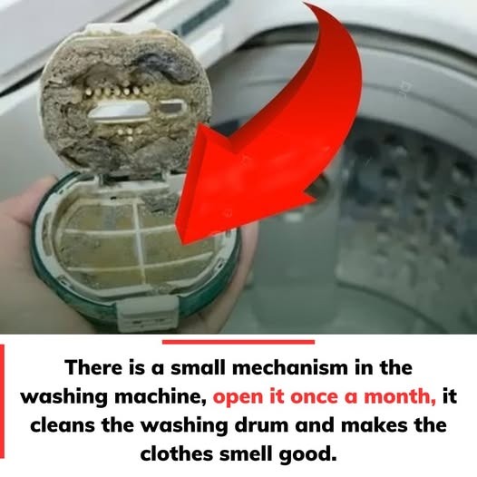 The Simple Reason You Should Clean Your Washing Machine Filter Monthly