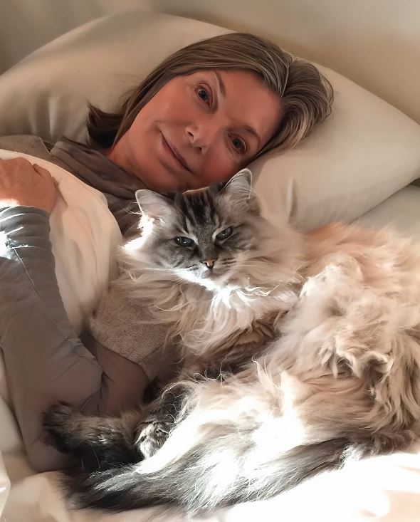 80s TV Icon Survived One Illness — Then Faced Another Battle That Changed Everything