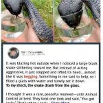 The Snake by the Lake: A Silent Warning