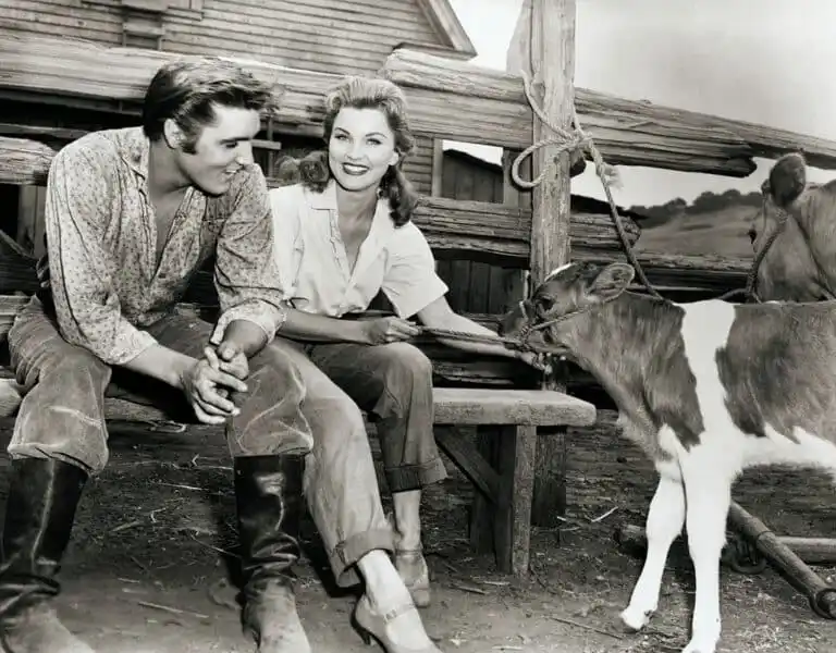 The Hidden Story Behind Elvis Presley’s First Movie Role
