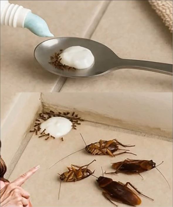 Natural Pest Control: The 3-Ingredient Trick That Really Works