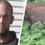Missing Father and Children in New Zealand: The Hunt Continues