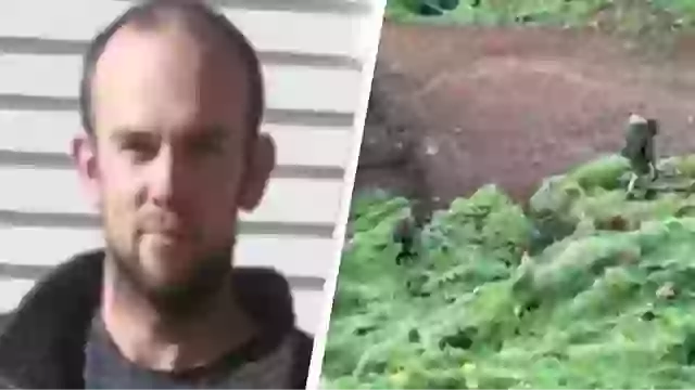 Missing Father and Children in New Zealand: The Hunt Continues