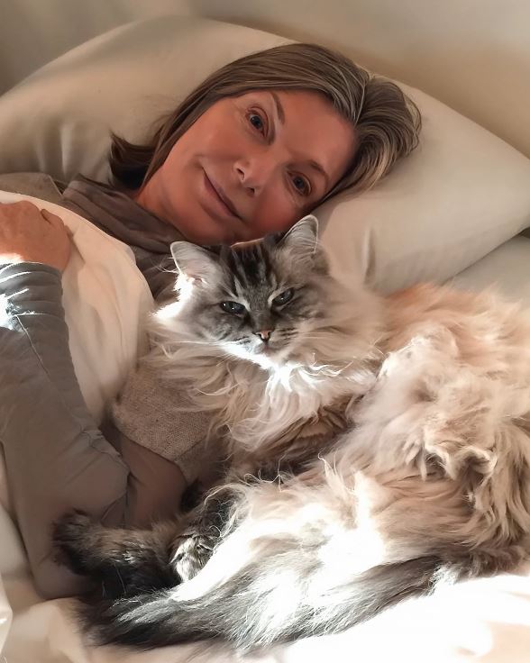 80s TV Icon Survived One Illness — Then Faced Another Battle That Changed Everything