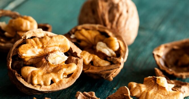 Strange nut-picking tool has the internet in debate