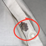 Terrifying Discovery in My Bed: These Tiny Balls Could Have Led to Disaster