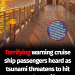 Cruise Passenger Recalls Terrifying Moments During Hawaii Tsunami Alert