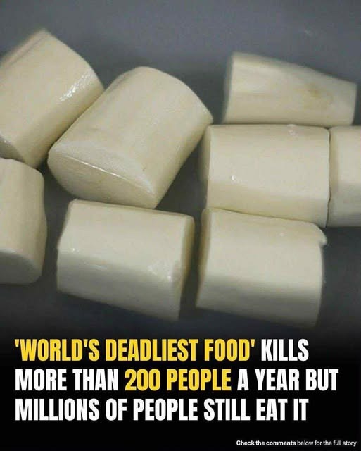 Cassava’s Dark Secret: The Deadliest Food