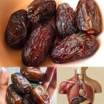 The Power of Dates: How They Can Help Your Health