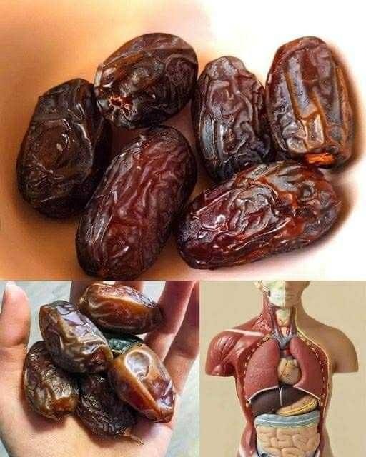 The Power of Dates: How They Can Help Your Health