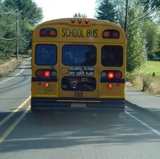 A Desperate Cry for Help on the School Bus