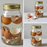 How Soaking Eggshells in Hot Water Can Boost Your Garden Naturally
