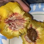 What Is That White Stuff on a Peach Pit? Here’s the Truth