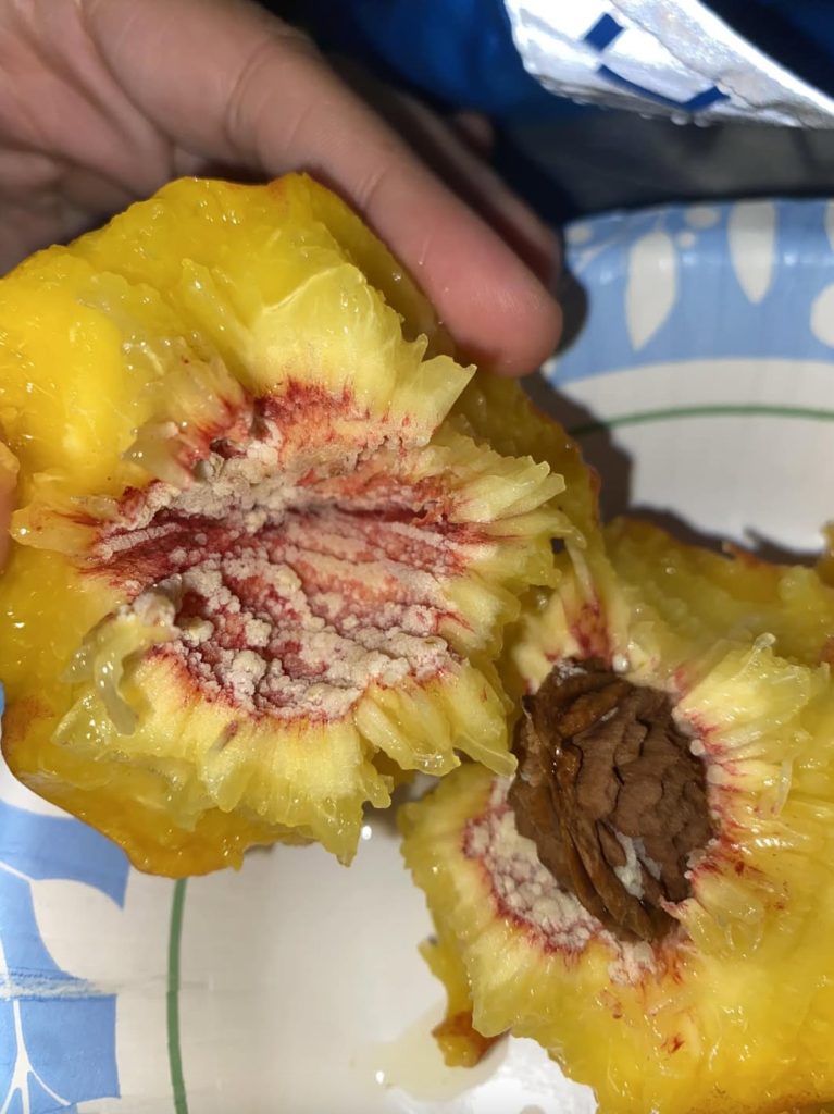 What Is That White Stuff on a Peach Pit? Here’s the Truth