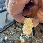 Tiny Beads in Broken Glass: A Hidden Secret of Insulated Windows