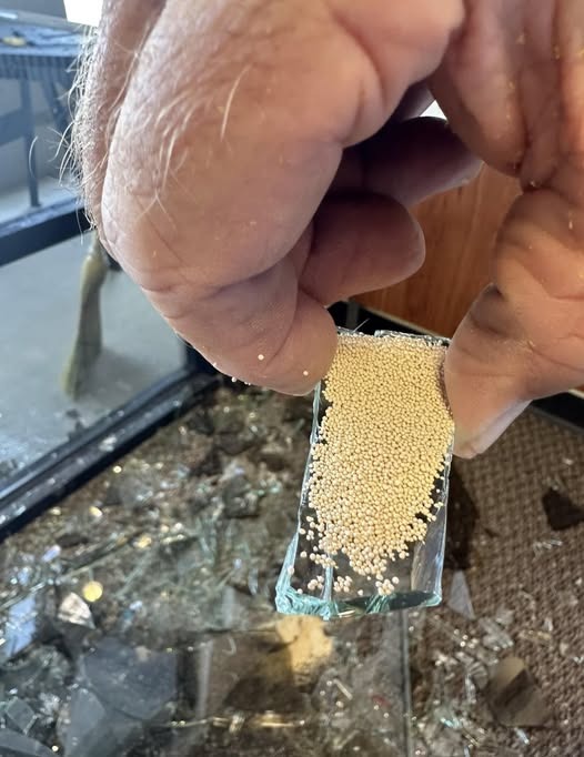 Tiny Beads in Broken Glass: A Hidden Secret of Insulated Windows