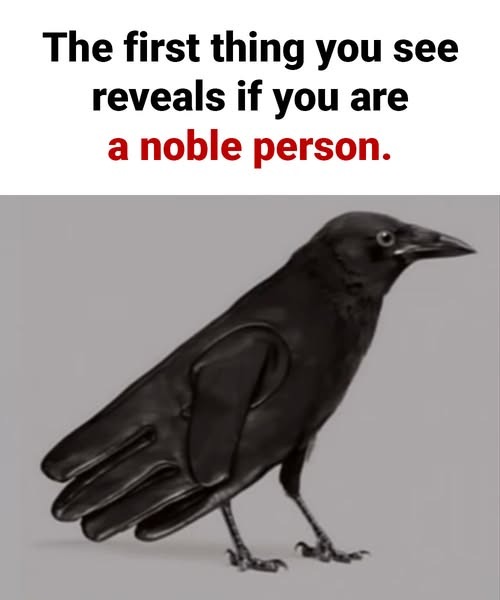 The Crow and the Glove: An Optical Illusion that Reveals Nobility