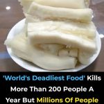 The Hidden Dangers in Your Food