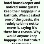“The Genius Reason Your Suitcase Belongs in the Hotel Bathtub”