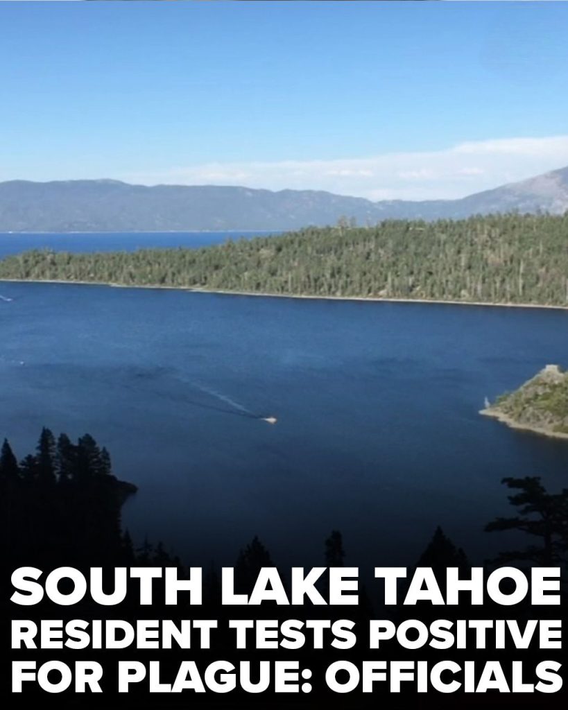 Plague Confirmed in South Lake Tahoe Resident After Flea Bite, Health Officials Report