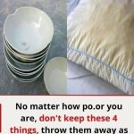 The Art of Decluttering: What to Keep and What to Toss