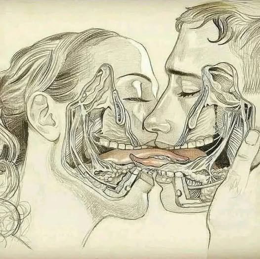The Language of Kissing: What Your Partner’s French Kisses Reveal
